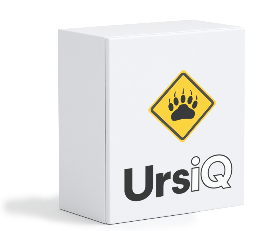 Conceptual UrsiQ processing unit